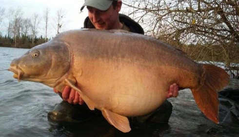 A 72 lb carp from Laroussi, David Wellard, Dec 2015