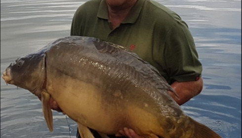 A 49 lb carp from Laroussi, Steve, Sep 2018