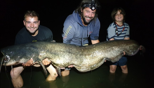 A catfish from Laroussi, Rick Le Ray's group, Aug 2019