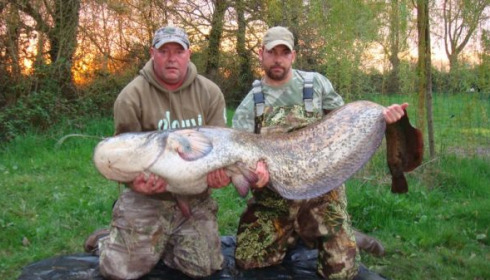 A 115 lb catfish from Laroussi, New lake record ! ( a bigger one is living in the lake), Apr 2009