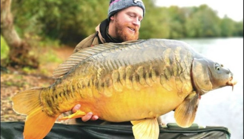 A carp from Laroussi, Luke Organ, Oct 2019
