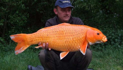 A 23 lb carp from Laroussi, May 2010
