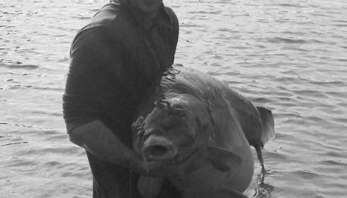 A 67 lb 1 oz carp from Laroussi, Craig Lancashire, May 2015