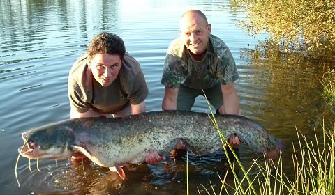 A 100 lb catfish from Laroussi, New lake record catfish , Sep 2007