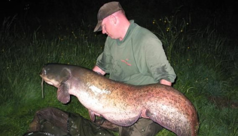 A 76 lb 8 oz catfish from Laroussi, May 2008