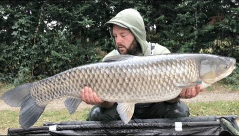 A 43 lb 4 oz grass carp from Laroussi, Sep 2018