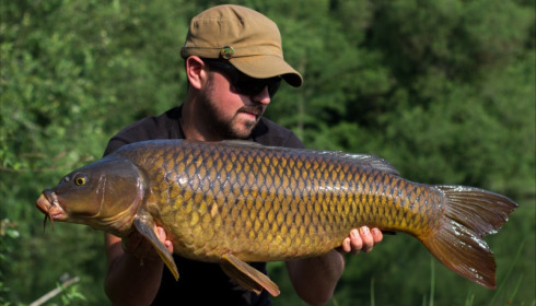A 22 lb carp from Laroussi, Chris Way, Jun 2018