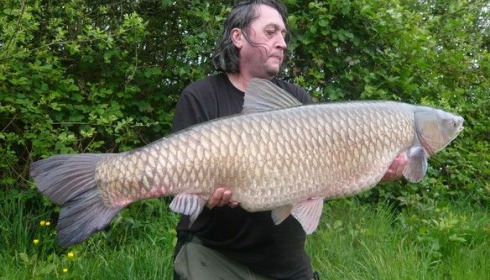 A 42 lb 3 oz grass carp from Laroussi, May 2009