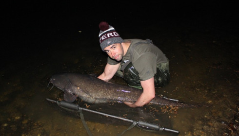 A carp from Laroussi, richard woods, Apr 2017