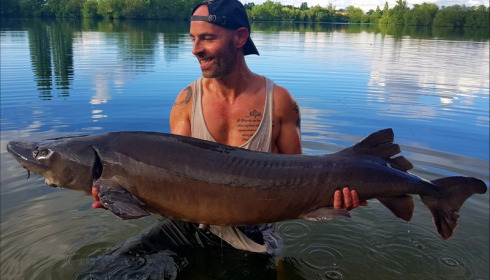 A carp from Laroussi, Andy Garrett, Jul 2018