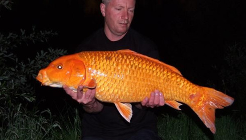 A 21 lb carp from Laroussi, May 2008