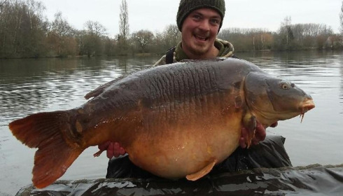 A 71 lb carp from Laroussi, Jan 2016
