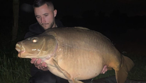 A carp from Laroussi, Jun 2021