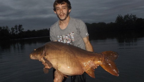 A 60 lb carp from Laroussi, Mick PB, Sep 2016