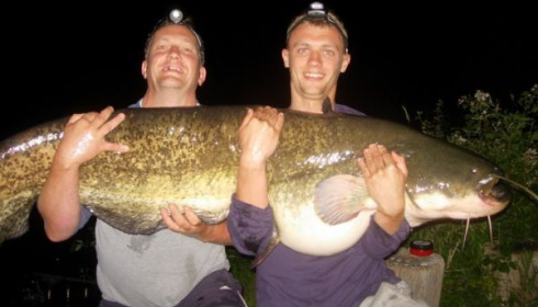 A 78 lb catfish from Laroussi, Jun 2010