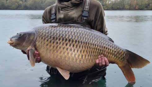 A 37 lb carp from Laroussi, Nov 2022