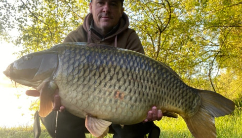 A carp from Laroussi, Jun 2021