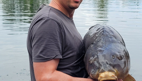 A 56 lb carp from Laroussi, Jul 2022