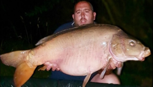 A carp from Laroussi, Gaylord Lebreton, Jul 2019