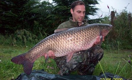 A 45 lb grass carp from Laroussi, Jun 2009