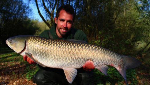 A grass carp from Laroussi, richard woods, Apr 2017