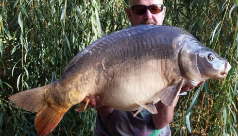 A 36 lb carp from Laroussi, Brad, Sep 2016