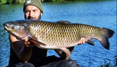 A 44 lb grass carp from Laroussi, Jun 2019
