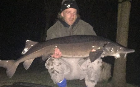 A 55 lb sturgeon from Laroussi, Paul Wilkinson, Mar 2016