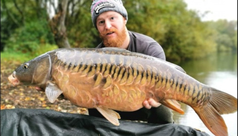 A carp from Laroussi, Luke Organ, Oct 2019