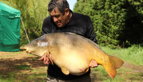 A 54 lb carp from Laroussi, Mick Sharpe, May 2015