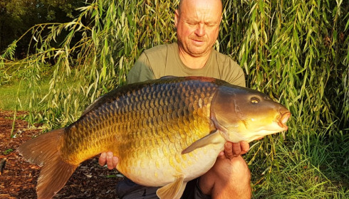 A 36 lb carp from Laroussi, MARK BAMBRIDGE, Aug 2017