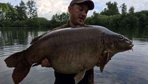 A 51 lb carp from Laroussi, Alan Tsang, Jun 2016
