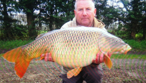 A 36 lb carp from Laroussi, Eddie Faulkner, Apr 2018