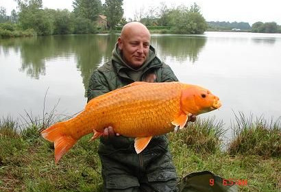 A 20 lb 8 oz carp from Laroussi, New lake record koi, May 2007