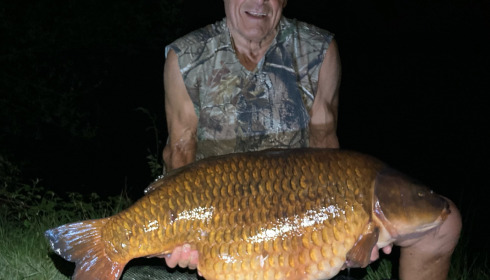 A fish from Laroussi, Common, Apr 2022
