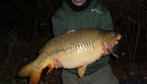 A carp from Laroussi, The superb Zip Linear, Mar 2012