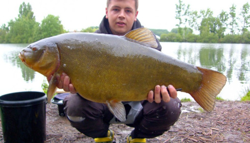 A fish from Laroussi, World record tench 15lb4oz, Jun 2014