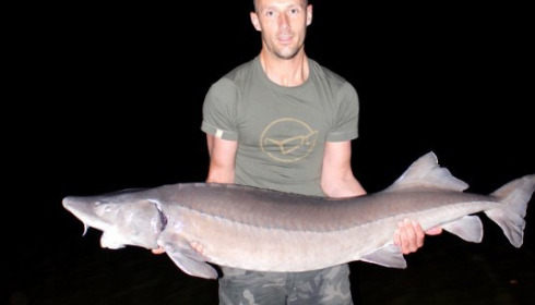 A 59 lb sturgeon from Laroussi, Jay, Sep 2015