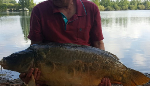 A 44 lb 8 oz carp from Laroussi, Andrew Haigh, May 2016