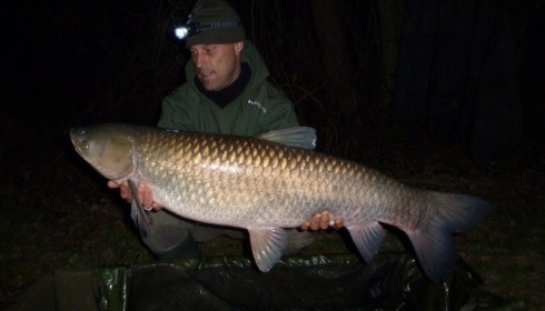 A 34 lb grass carp from Laroussi, Mar 2012