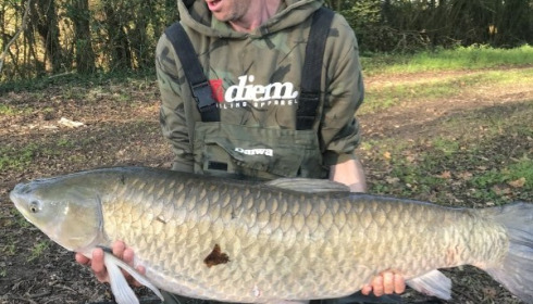 A 48 lb 12 oz grass carp from Laroussi, William Chapman, Apr 2018