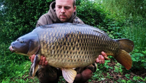 A carp from Laroussi, Carl Powell, Jun 2016