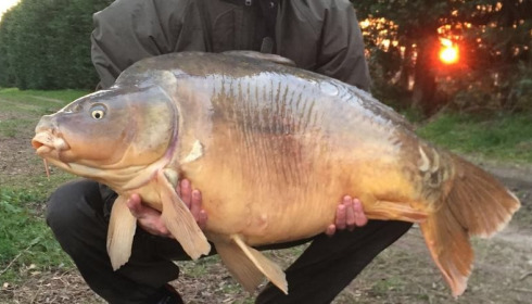 A 51 lb 12 oz carp from Laroussi, Paul Wilkinson, Mar 2016