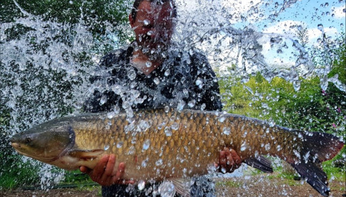 A carp from Laroussi, Paul Griffiths, Jul 2018