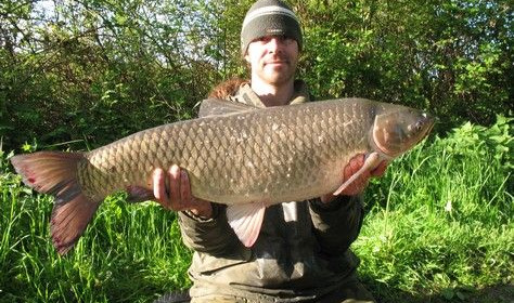 A 31 lb 4 oz grass carp from Laroussi, May 2009