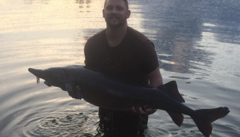 A 62 lb sturgeon from Laroussi, Ben Thompson, May 2016
