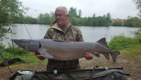 A 59 lb sturgeon from Laroussi, Barry Masters, May 2016