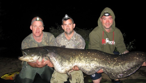 A 100 lb catfish from Laroussi, John Huddleston Party, Aug 2013