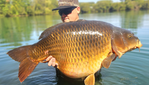 A 50 lb 5 oz fish from Laroussi, Golden common, Aug 2023