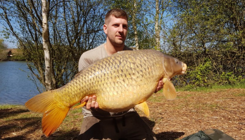 A carp from Laroussi, One of the new stocking already mid 30, Apr 2017